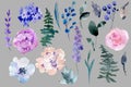 Summer Set of Lilac Watercolor Floral Elements, Pink Roses, Hydrangea, Wildflowers