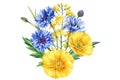 Summer set with yellow and blue wildflower. Rose, lily, poppy and cornflower, watercolor flora painting for card, design