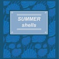 Summer shells - background with frame