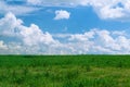 Summer shining meadow with blue sky and fluffy clouds