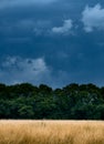 Summer shower in Nonsuch Park Royalty Free Stock Photo