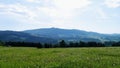 Summer Siberian field of flowers and mountain ranges