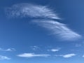 Stunning cirrus cloud in summer sky