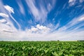 Summer sky over wide open countryside Royalty Free Stock Photo