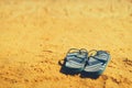 Summer slippers. Navy blue flip flop on yellow sand beach background. Copy space, top view. Holiday and travel concept Royalty Free Stock Photo