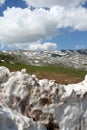 Summer snow in mountains