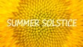 Summer solstice, estival solstice, midsummer. Summer solstice banner with text on yellow sunflower background