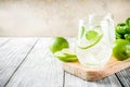 Summer sour cocktail mojito Royalty Free Stock Photo