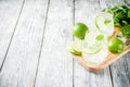 Summer sour cocktail mojito Royalty Free Stock Photo