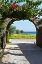 View of the seaside through an old stone gate with climbing flowering plants. Mediterranean landscape