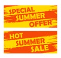 Summer special offer and hot sale, drawn banners