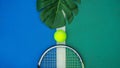 Summer sport concept with green monstera leaf and tennis ball, racquet on white line on hard tennis court. Royalty Free Stock Photo