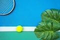 Summer sport concept with green monstera leaf and tennis ball, racquet on white line on hard tennis court Royalty Free Stock Photo