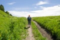 Summer sport - nordic walking. Man hiking on green Sunny mountain meadow. Active man outdoors. Beautiful healthy summer fitness