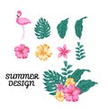 summer,spring and autumn design element,Flamingo,Hibiscus flower,Palm leaf,bunch of flower graphic design element