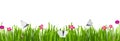 Summer, spring background of bright green grass with small delicate pink flowers and butterflies, moths, isolated on a white backg Royalty Free Stock Photo