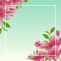 Summer Spring Blooming Flower Nature with Blue Sky Background Royalty Free Stock Photo