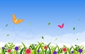 Summer Spring Blooming Flower Nature with Butterfly Park Background Royalty Free Stock Photo