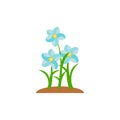Summer And Spring Blossom Forest And Garden Blue Flowers Isolated On White Background. Nature Springtime Flower. Vector
