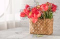 Summer or spring bouquet of daffodils and red tulips in a wicker basket located on a white background. Blossom of spring flowers Royalty Free Stock Photo