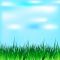 Summer and spring design with sunshine and grass. Blue sky in the background. Vector