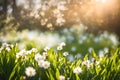 Summer or spring flowered background