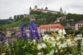 Summer or spring flowers with wurzburg fortress in the background Royalty Free Stock Photo