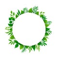 Summer spring green leaves branches twigs plants foliage greenery round circle frame with place for text Royalty Free Stock Photo