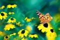 Summer spring magic natural abstract background. Yellow small flowers and orange butterfly against a beautiful aquamarine bokeh.