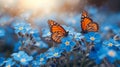 summer spring meadow butterfly Royalty Free Stock Photo