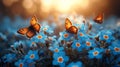 summer spring meadow butterfly Royalty Free Stock Photo