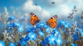 summer spring meadow butterfly Royalty Free Stock Photo