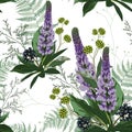 Summer spring seamless pattern with violet lupines paradise flowers, fern and herbs. Royalty Free Stock Photo