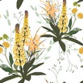 Summer spring seamless pattern with yellow lupines paradise flowers and herbs. Royalty Free Stock Photo