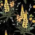 Summer spring seamless pattern with yellow lupines paradise flowers and herbs. Royalty Free Stock Photo