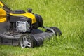 Summer and spring season sunny lawn mowing in the garden.