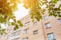 Summer or spring urban landscape - branches of a deciduous tree and a multi-storey residential building made of bricks in the Royalty Free Stock Photo