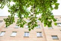Summer or spring urban landscape - branches of a deciduous tree and a multi-storey residential building made of bricks in the Royalty Free Stock Photo