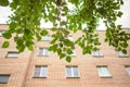 Summer or spring urban landscape - branches of a deciduous tree and a multi-storey residential building made of bricks Royalty Free Stock Photo