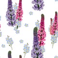 Summer spring wild lupines pink flowers and blue forget-me-not flowers.