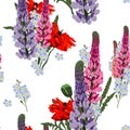 Summer spring wild lupines pink, violet flowers, red poppy and blue forget-me-not flowers. Royalty Free Stock Photo