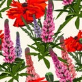 Summer spring wild lupines pink, violet and yellow flowers with green leaves, red poppy.