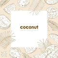 Summer square background template with frame made of fresh ripe coconuts, palm tree leaves and flowers hand drawn with Royalty Free Stock Photo