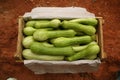 Box of summer squashes Royalty Free Stock Photo