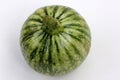 Summer Squash, Summer squash, Cucurbita pepo, Chapan Kadu in India Royalty Free Stock Photo