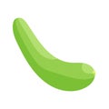 Summer squash icon, cartoon style Royalty Free Stock Photo