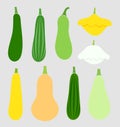 Summer squash vegetables