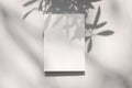 Summer stationery mock-up scene. Blank vertical greeting card with olive tree leaf and branches shadow overlay. Baige