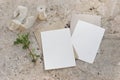 Summer stationery mock-ups set. Blank greeting cards, invitations and craft envelopes. Green lentisk branch, silk ribbon