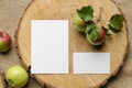 Summer stationery mockup scene with with apples, blue runner, on a beige background in rustic style and natural. Mockup card for Royalty Free Stock Photo